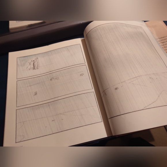 The Storm in the Barn by M.Phelan, Hardback Graphic Novel, Used - Picture 3 of 11